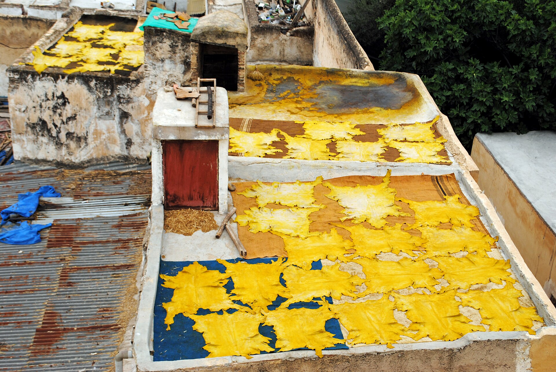 Fès — Tanneries Chouara